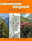 Lebensraum Bergwald: Alpenpflanzen in Bergwald, Baumgrenze und Zwergstrauchheide. Vegetationsökolog livre