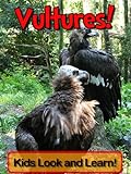 Vultures! Learn About Vultures and Enjoy Colorful Pictures - Look and Learn! (50+ Photos of Vultures livre