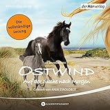 Auf der Suche nach Morgen: Ostwind 4 livre