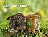 Kaninchenkinder Posterkalender - Kalender 2017 livre
