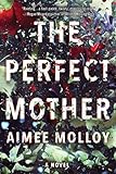 The Perfect Mother: A Novel livre