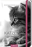 Katzen 2017: Buchkalender livre