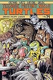 Teenage Mutant Ninja Turtles Volume 14: Order From Chaos livre
