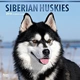 Siberian Huskies - Sibirische Huskies 2018 - 18-Monatskalender mit freier DogDays-App: Original Brow livre