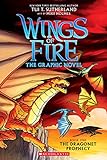 A Graphix Book: Wings of Fire Graphic Novel #1: The Dragonet Prophecy livre