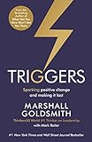 Triggers: Sparking positive change and making it last livre