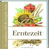 Marjolein Bastins Erntezeit livre