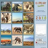 Elephant Families 2018: Kalender 2018 (Wonderful World) livre