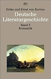 Deutsche Literaturgeschichte Band 5: Romantik livre