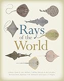 Rays of the World (English Edition) livre