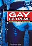 Gay Extreme: Sexuelle Abgründe schwuler Männer im Internet livre