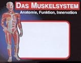 Anatomie Lernkarten - Die menschliche Muskulatur livre