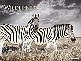 Wildlife Kalender 2019 - Tierkalender, Naturkalender, Posterkalender - 64 x 48 cm livre
