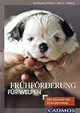 Frühförderung für Welpen: Der Züchter hat es in der Hand livre