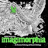 Imagimorphia: An Extreme Coloring and Search Challenge livre