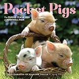 Pocket Pigs 2014 Calendar: The Famous Teacup Pigs of Pennywell Farm livre