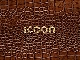 ICOON global picture dictionary (croco) - Bildwörterbuch livre