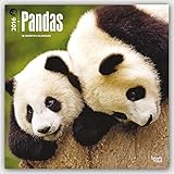 Pandas 2016 - Pandabären - 18-Monatskalender: Original BrownTrout-Kalender [Mehrsprachig] [Kalender livre