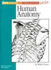 Beginner's Guide Anatomy livre