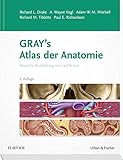 Gray's Atlas der Anatomie: Deutsche Bearbeitung von Lars Bräuer livre