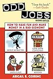 Odd Jobs: How to Have Fun and Make Money in a Bad Economy livre