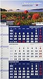 Deutschland 2019 3-Monatskalender: Praktischer Monatsplaner mit umfassendem deutschen Kalendarium livre