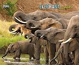 Elephant Families 2016: Kalender 2016 (Dcor Calendars) (Decor 45x60) livre