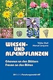 Wiesen- und Alpenpflanzen Erkennen an den Blättern - Freuen an den Blüten livre