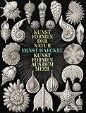 Ernst Haeckel: Kunstformen der Natur - Kunstformen aus dem Meer livre