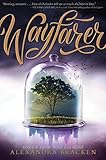 Wayfarer: Book 2 (Passenger 1) (English Edition) livre