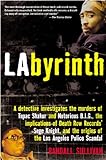 Labyrinth: The True Story of City of Lies, the Murders of Tupac Shakur and Notorious B.I.G. and the livre