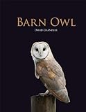 Barn Owl livre