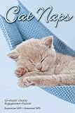Cat Naps Weekly Planner September 2012 - December 2013 Calendar livre