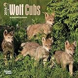 Wolf Cubs 2016 Calendar livre