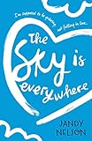 The Sky Is Everywhere (English Edition) livre