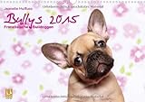Bullys - Französische Bulldoggen 2015 (Wandkalender 2015 DIN A3 quer): kleine Hunde mit großem Her livre