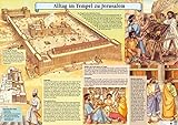 Alltag im Tempel zu Jerusalem: Plakat livre
