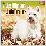 West Highland White Terriers 2016 - Westies - 18-Monatskalender mit freier DogDays-App: Original Bro livre