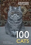 100 Cats livre