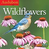 Audubon Wildflowers 2017 Calendar livre