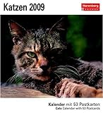 Harenberg Postkarten-Kalender Katzen 2009 livre