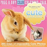 Cute Overload 2010 Calendar livre