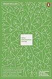 Why Information Grows: The Evolution of Order, from Atoms to Economies livre