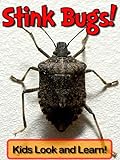 Stink Bugs! Learn About Stink Bugs and Enjoy Colorful Pictures - Look and Learn! (50+ Photos of Stin livre