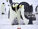Pinguine auf Reise - Kalender 2017 livre