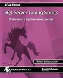 SQL Server Tuning Scripts: Performance Optimization Secrets (IT In-Focus) by Robin Schumacher (2014- livre