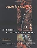 Small Is Beautiful: Economics As If People Mattered : 25 Years Later...With Commentaries livre