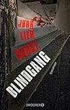 Blindgang: Kriminalroman (William-Wisting-Serie 10) livre