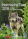 Heimische Tiere - Kalender 2018: Wochenplaner, 53 Blatt mit Wochenchronik livre