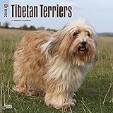 Tibetan Terriers - Tibet-Terrier 2018 - 18-Monatskalender mit freier DogDays-App: Original BrownTrou livre